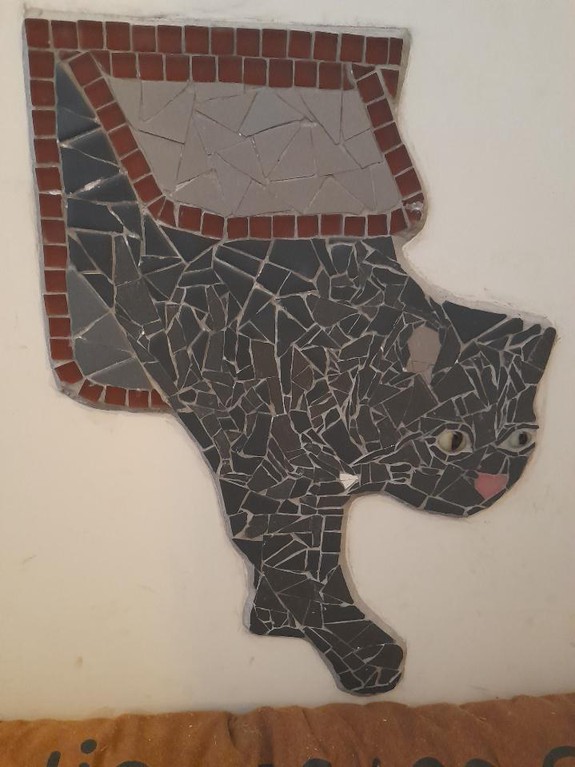 le chat part à l'aventure