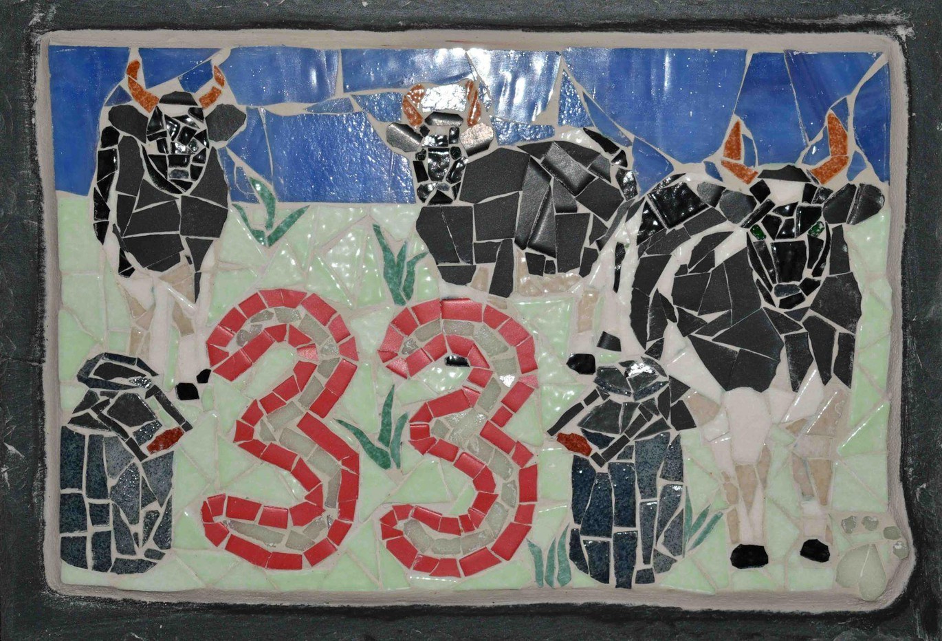 Numéro 33 avec des vaches