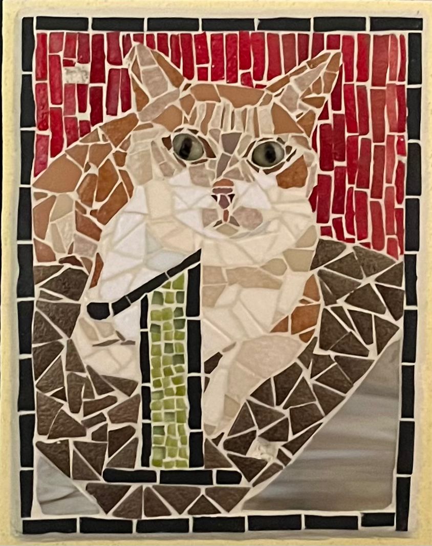 Numéro 1 - chat