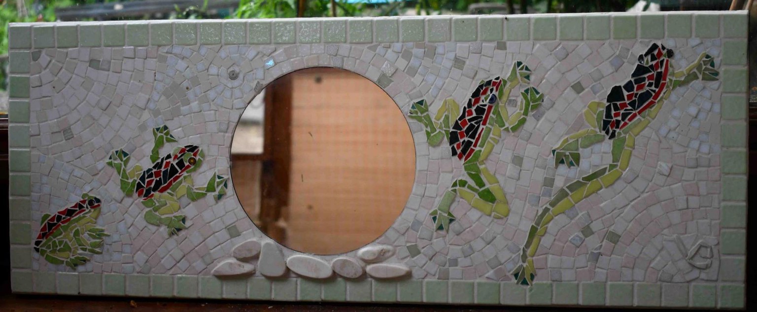 Miroir grenouilles sauteuses